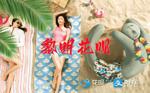 个中滋味花呗